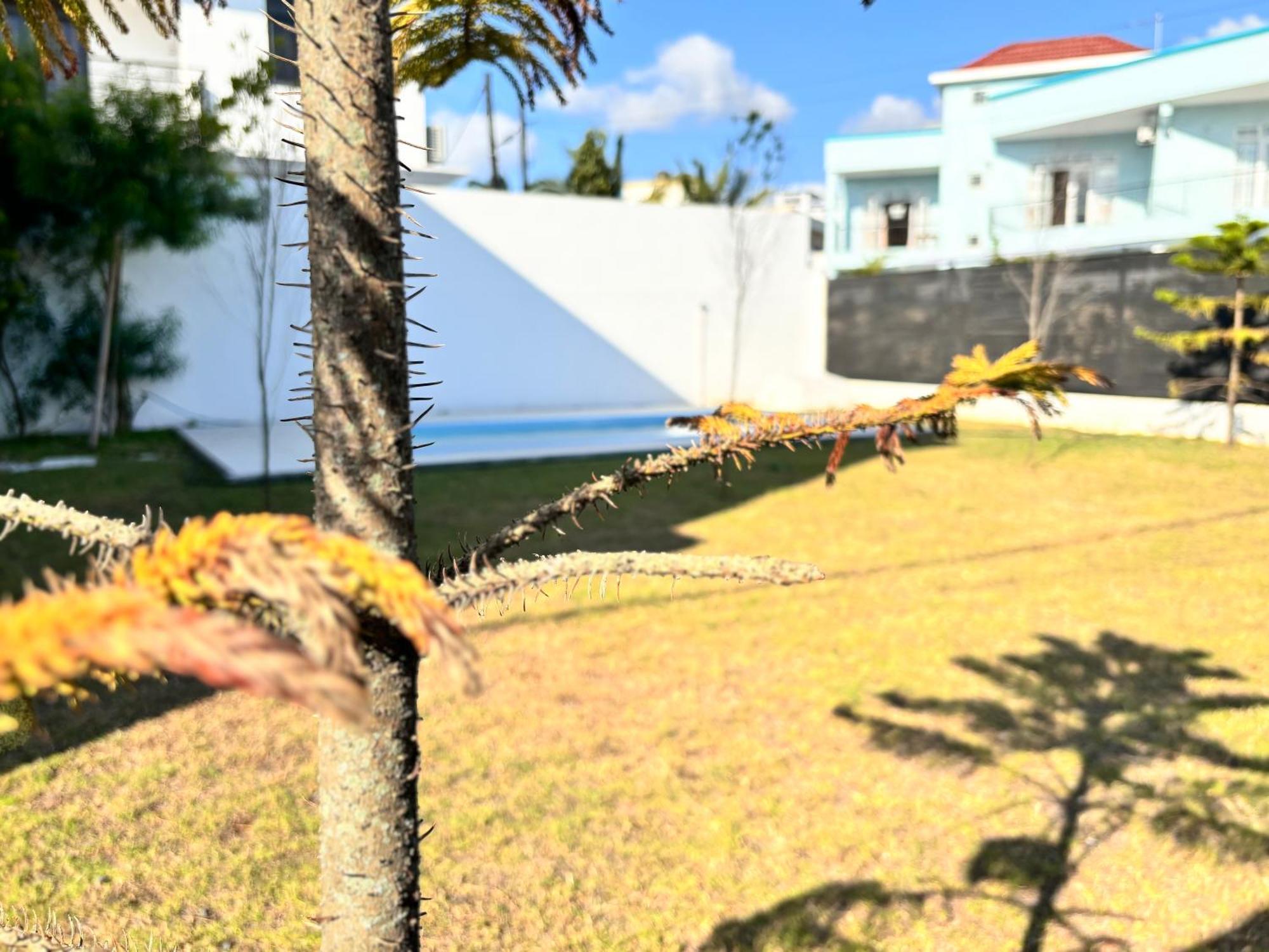Maison Mont Choisy - One Or Two Bedrooms Apartment Trou aux Biches Exterior photo